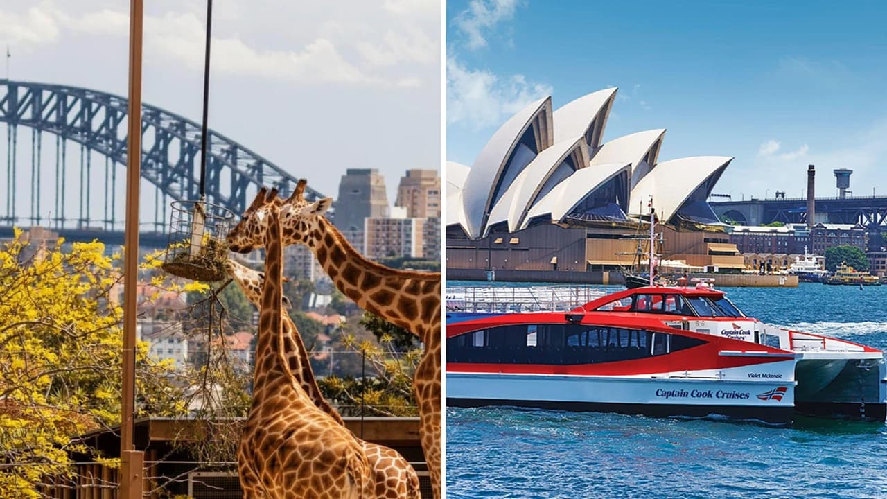 Taronga Zoo Ticket with Optional Round Trip Ferry - Photo 1