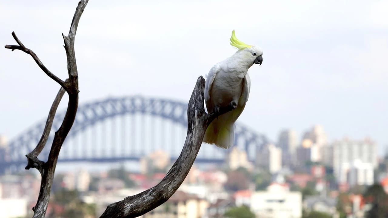 Taronga Zoo Ticket with Optional Round Trip Ferry - Photo 4