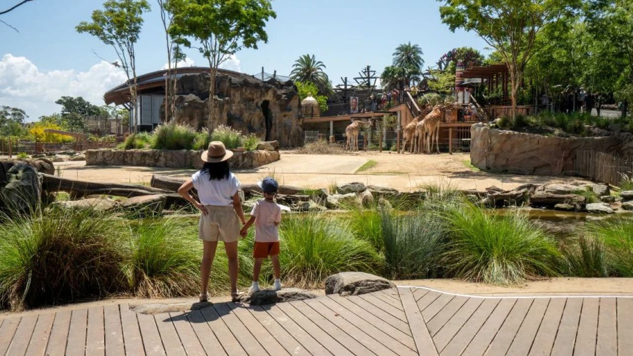 Taronga Zoo Ticket with Optional Round Trip Ferry - image 7