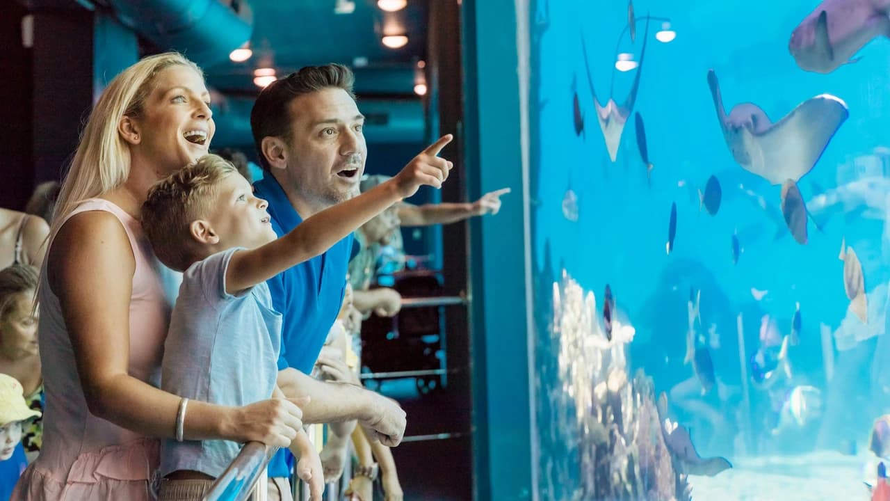 Gold Coast Warner Bros. Movie World, Sea World, Paradise Country and Wet'n'Wild Multiday Pass - Photo 3