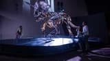 Melbourne Museum - Photo 5