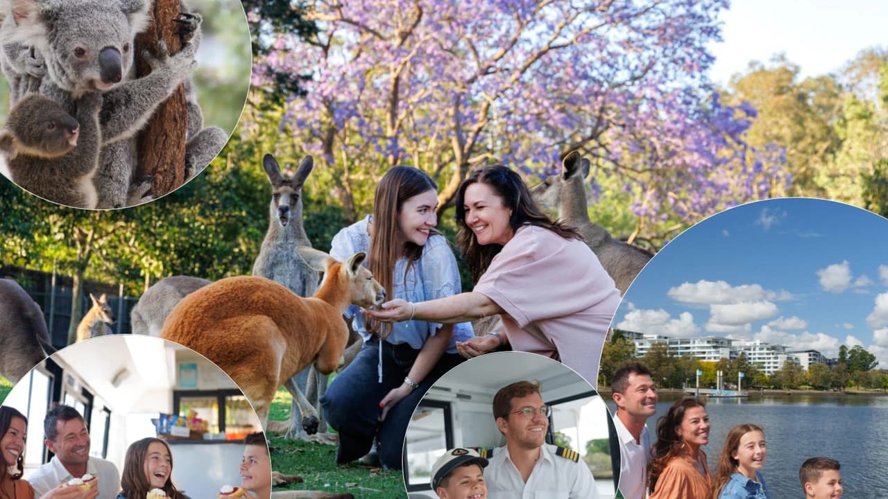 Lone Pine Koala Sanctuary Entry Ticket with Cruise from Brisbane City - Photo 1