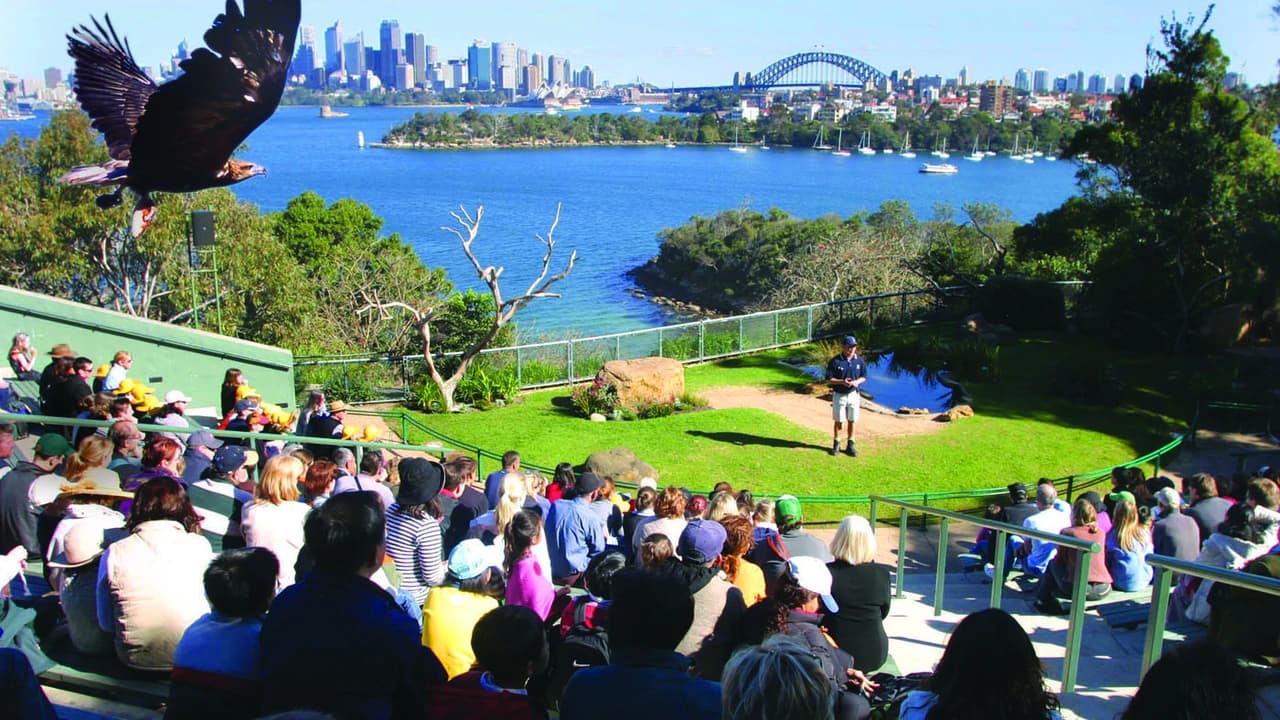 Captain Cook Sydney Harbour Explorer Hop-on Hop-off Cruise - image 7