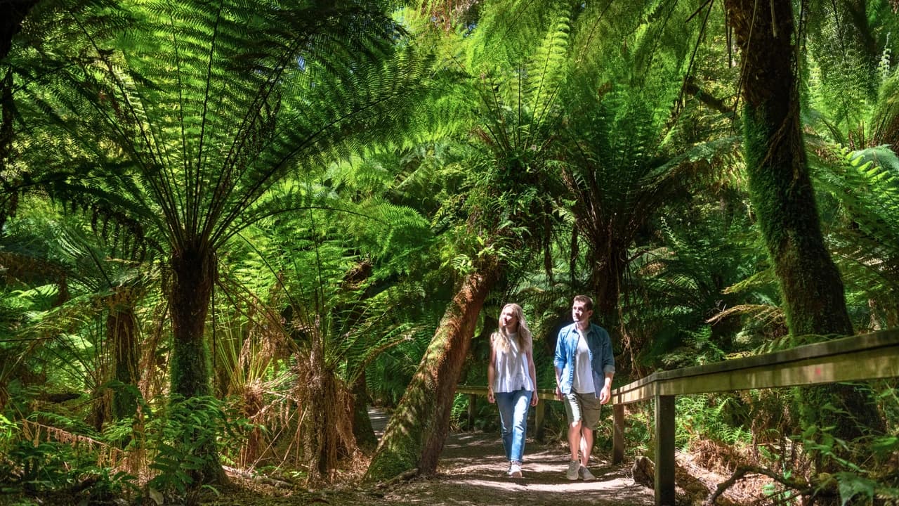 Great Ocean Road Tour from Melbourne - image 7