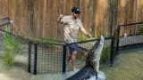 Hartley's Crocodile Adventures - image 7