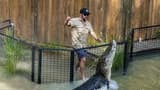 Hartley's Crocodile Adventures - image 6