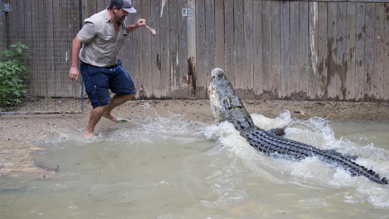 Hartley's Crocodile Adventures - Photo 2