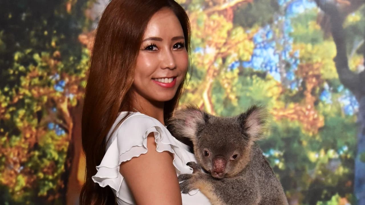 Cairns Koalas and Creatures at the Pier Ticket - Photo 2