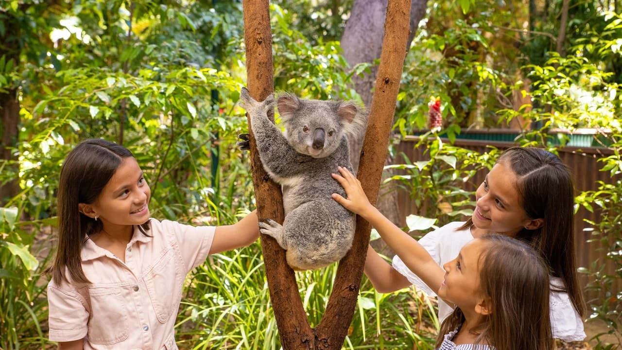 Currumbin Wildlife Sanctuary Gold Coast Ticket - Photo 1