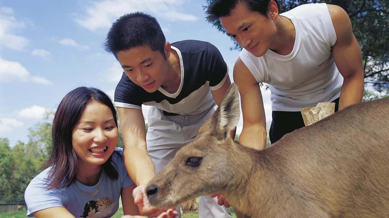 Currumbin Wildlife Sanctuary Gold Coast Ticket - image 6