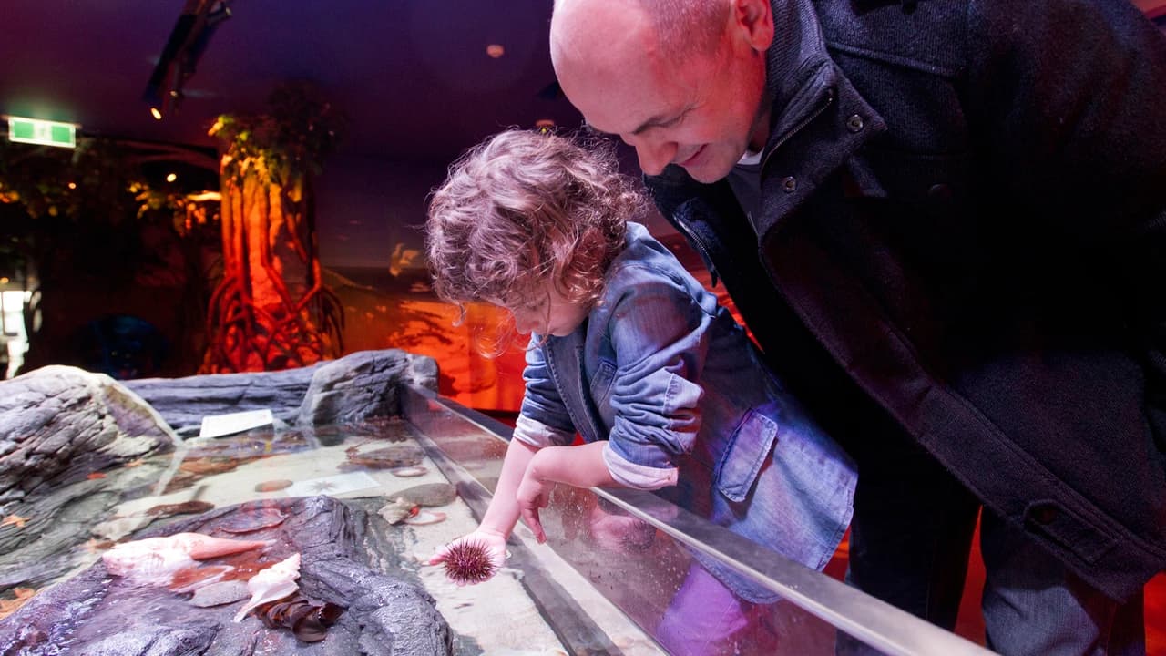SEA LIFE Melbourne Aquarium Direct Entry Ticket - image 8