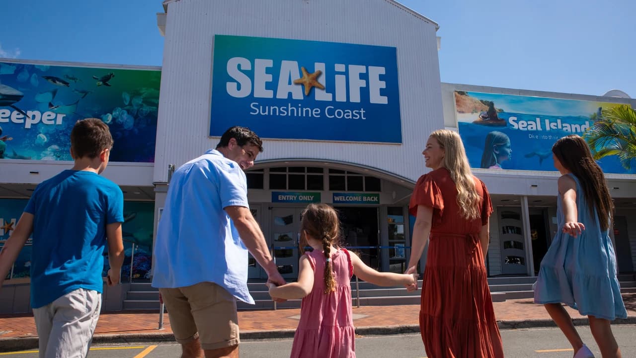 SEA LIFE Sunshine Coast Aquarium Direct Entry Ticket - image 7