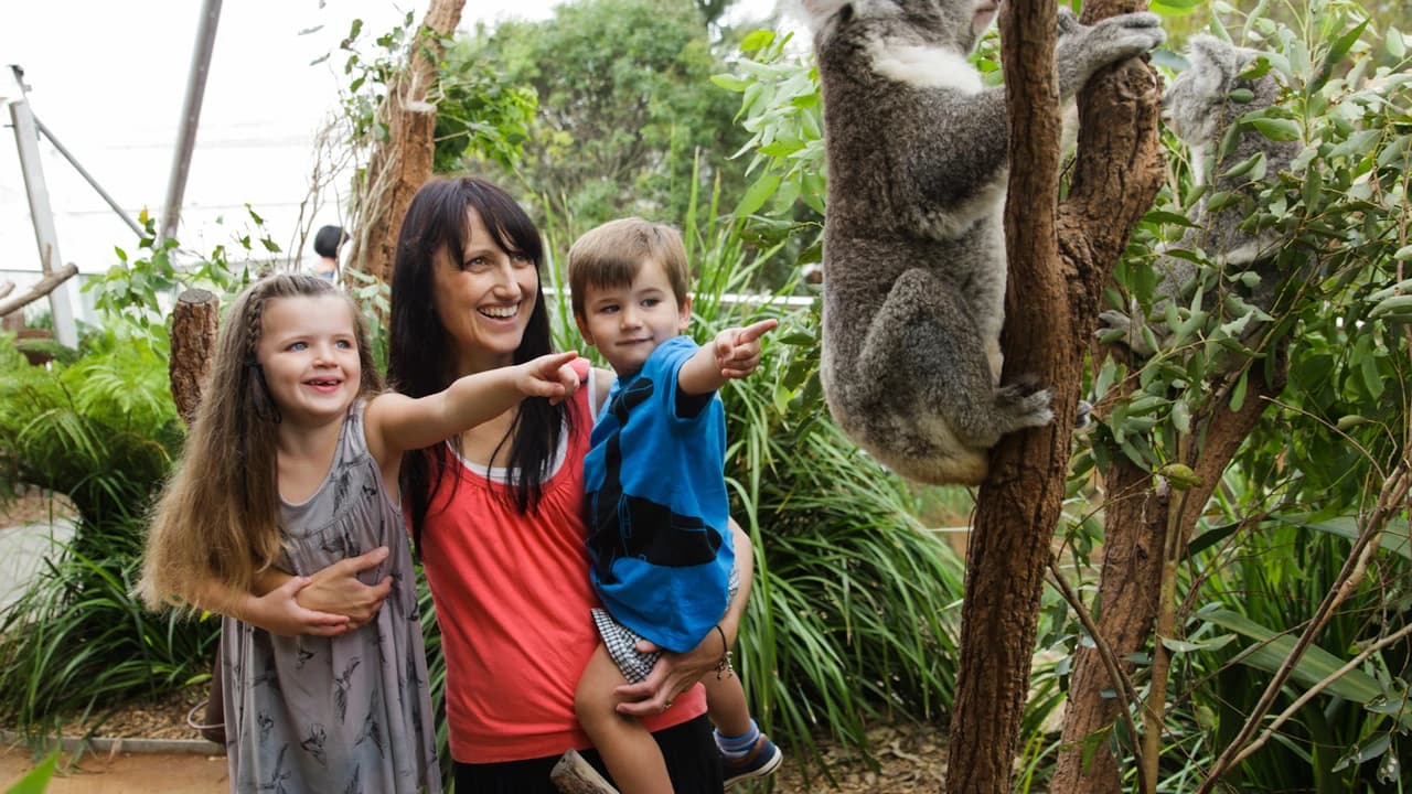 WILD LIFE Sydney Zoo Direct Entry Ticket - Photo 2