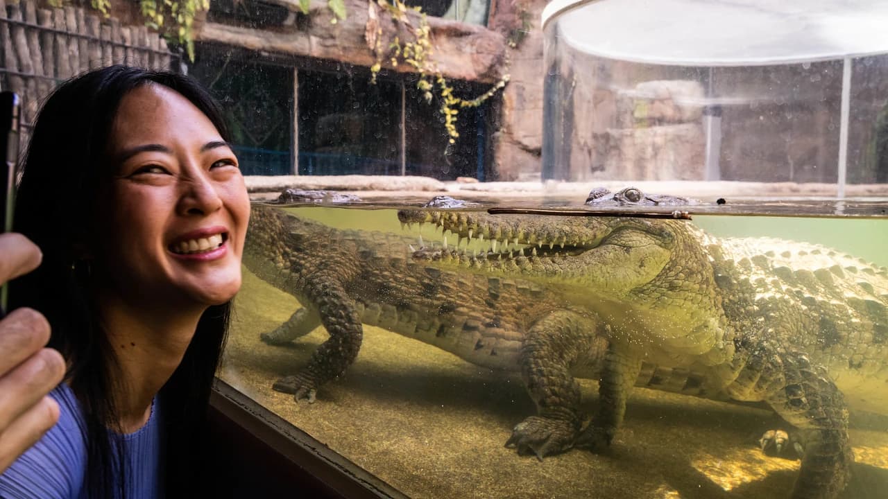 WILD LIFE Sydney Zoo Direct Entry Ticket - Photo 3