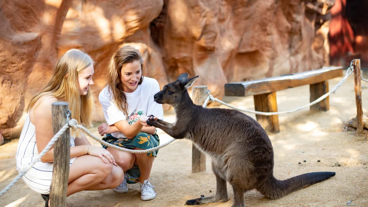 Sydney Multi-Attraction Pass - Photo 4