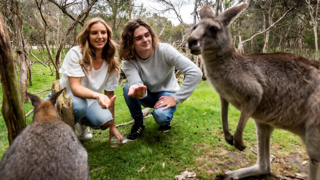 Moonlit Sanctuary Wildlife Conservation Park Ticket - Photo 1