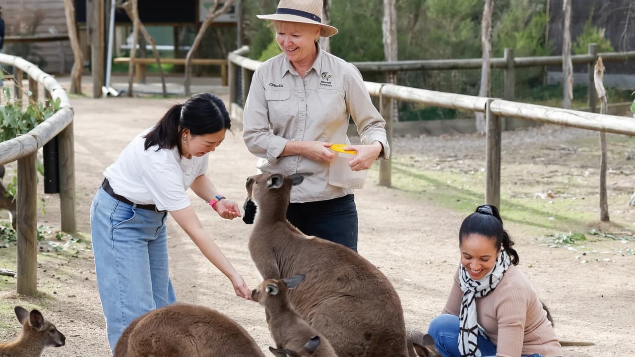 Moonlit Sanctuary Wildlife Conservation Park Ticket - Photo 4