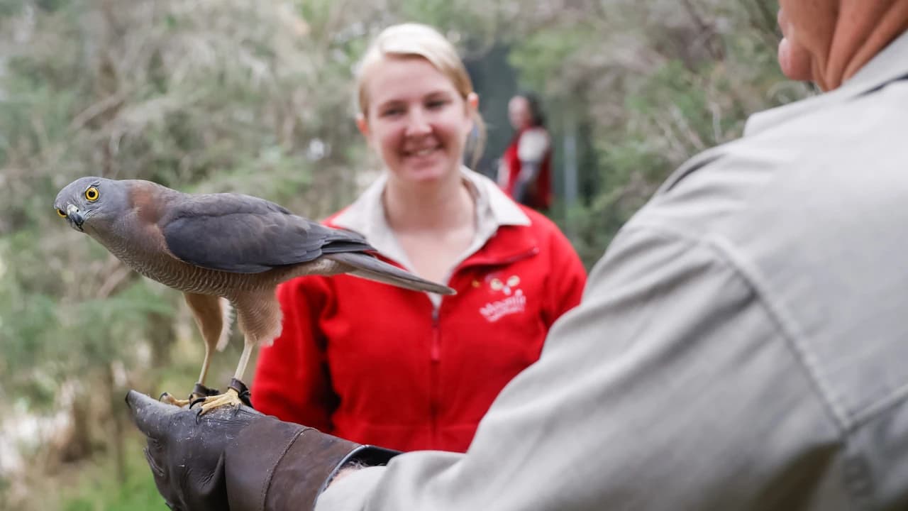 Moonlit Sanctuary Wildlife Conservation Park Ticket - Photo 5