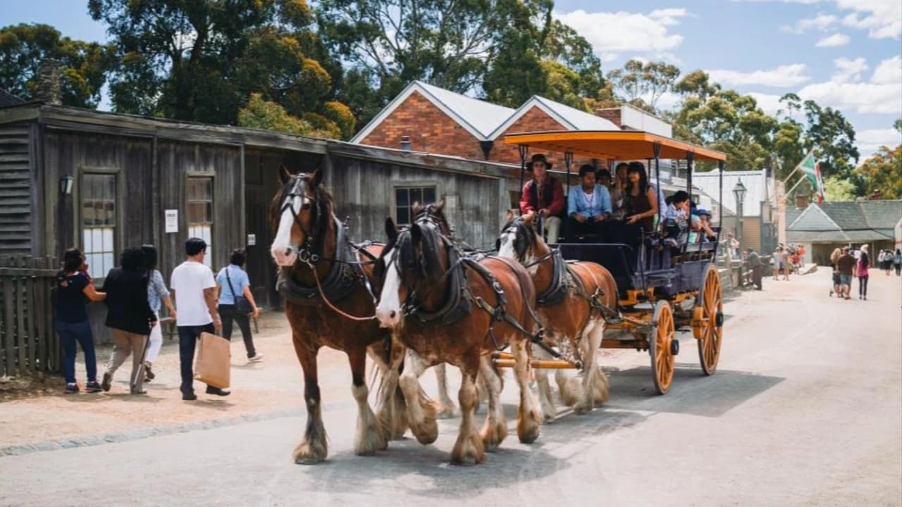 Sovereign Hill Entry Ticket - Photo 1