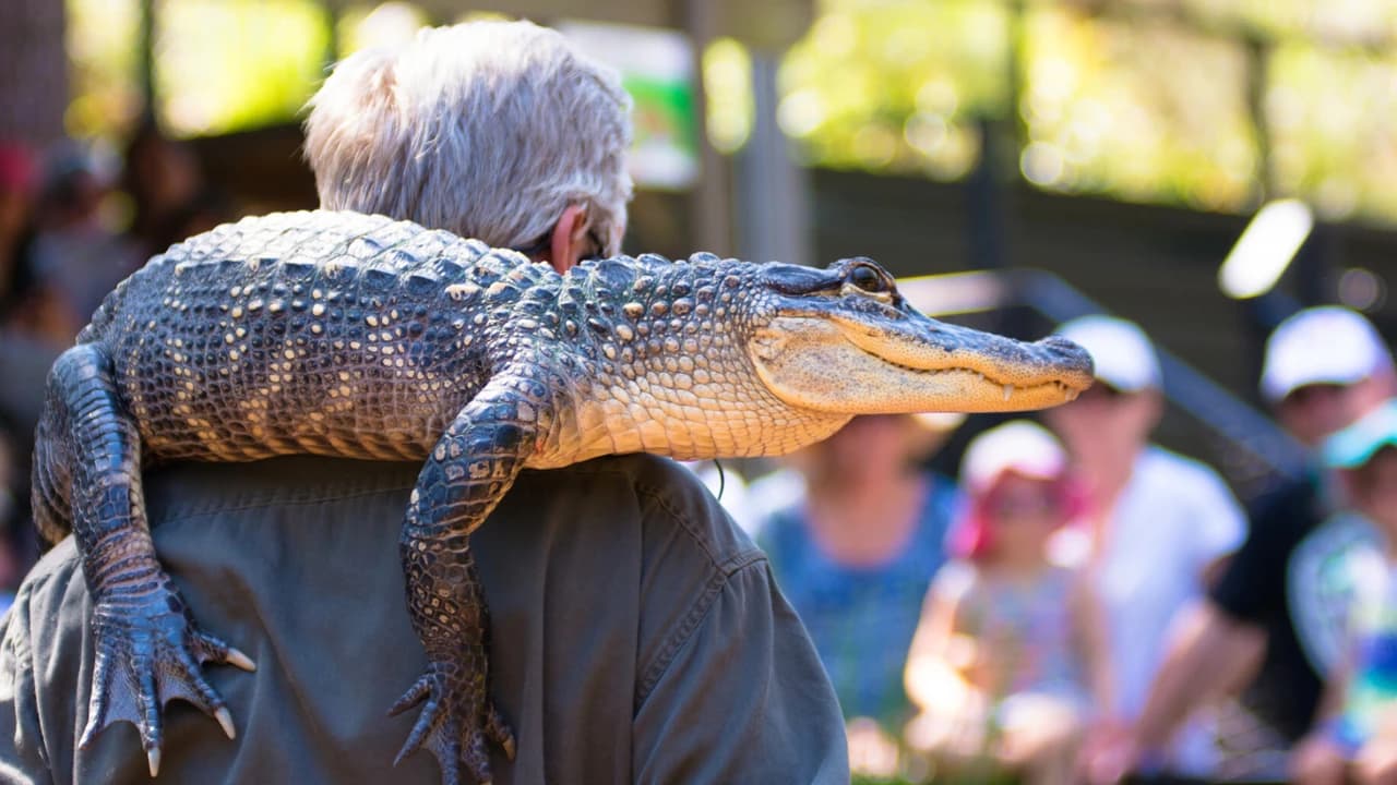 Australian Reptile Park - Photo 1