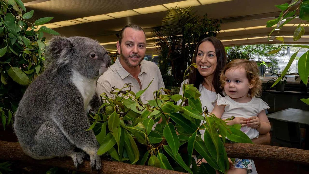 Wildlife Habitat Port Douglas Ticket - Photo 1