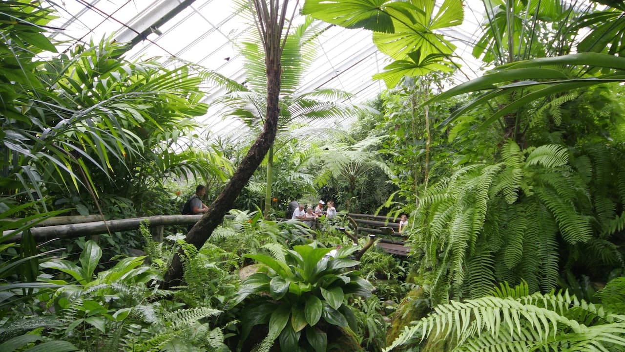 Australian Butterfly Sanctuary - image 7