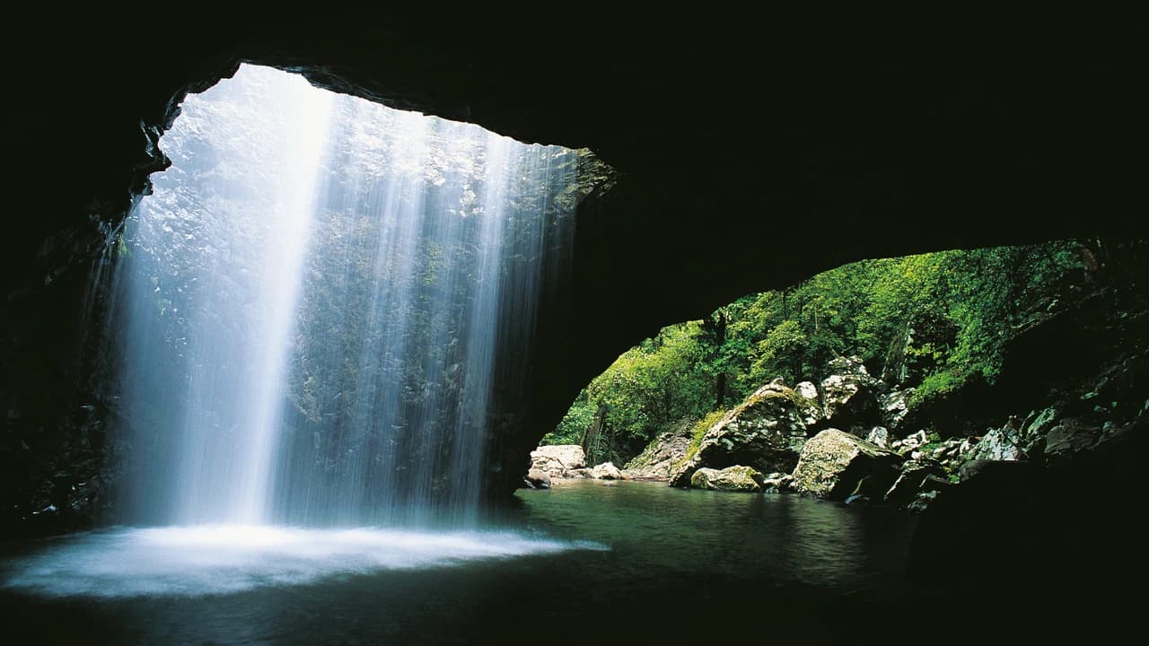 Springbrook National Park Tour: Natural Bridge and Waterfalls - Photo 1
