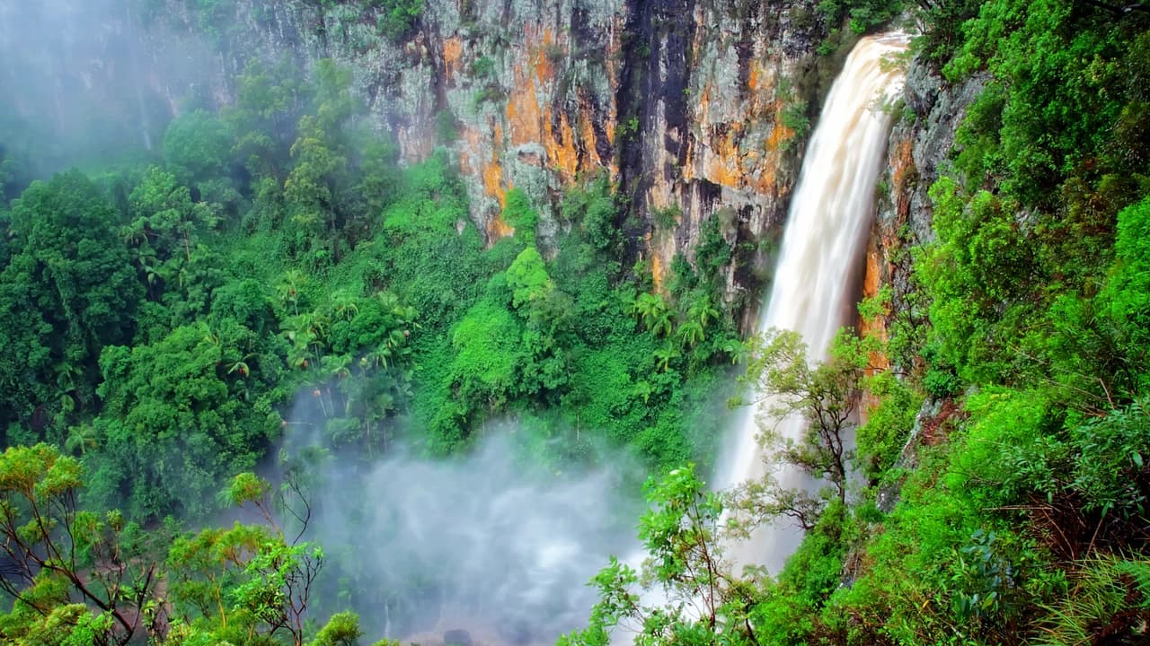 Springbrook National Park Tour: Natural Bridge and Waterfalls - Photo 2