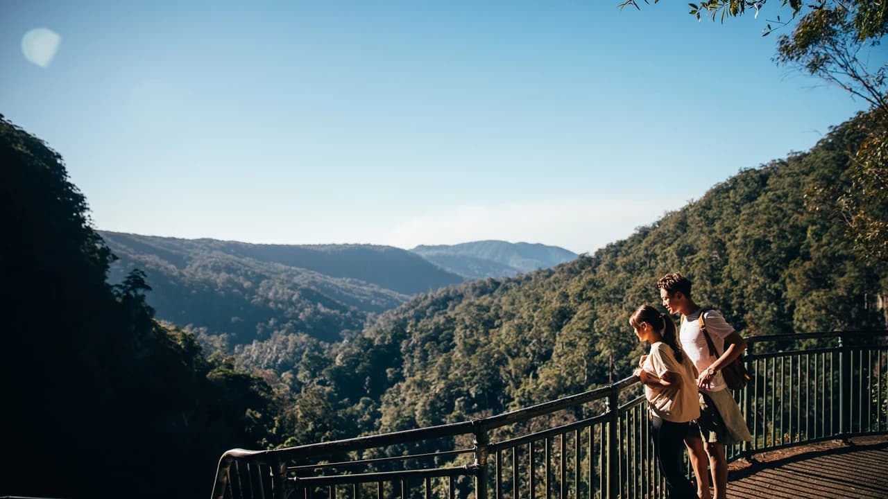 Springbrook National Park Tour: Natural Bridge and Waterfalls - Photo 4
