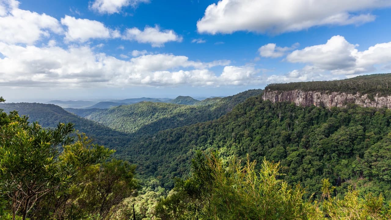 Springbrook National Park Tour: Natural Bridge and Waterfalls - Photo 5
