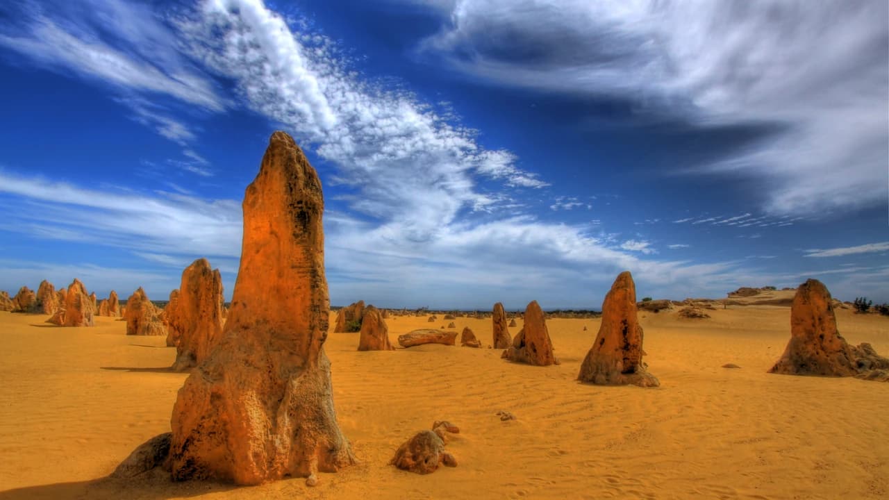Pinnacles Desert Tour with 4WD Adventure from Perth - Photo 1