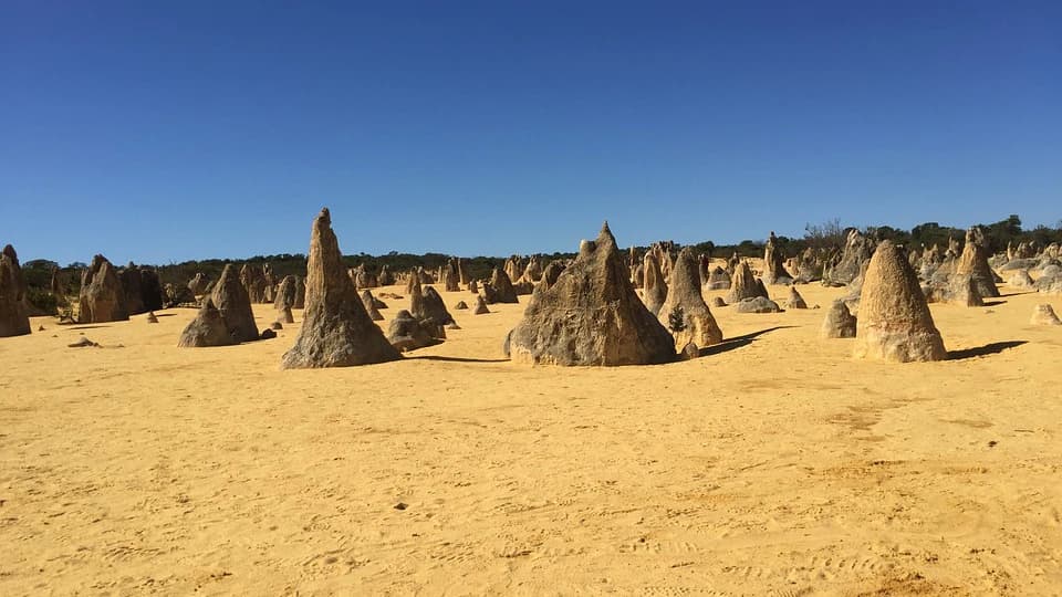 Pinnacles Desert Tour with 4WD Adventure from Perth - Photo 5