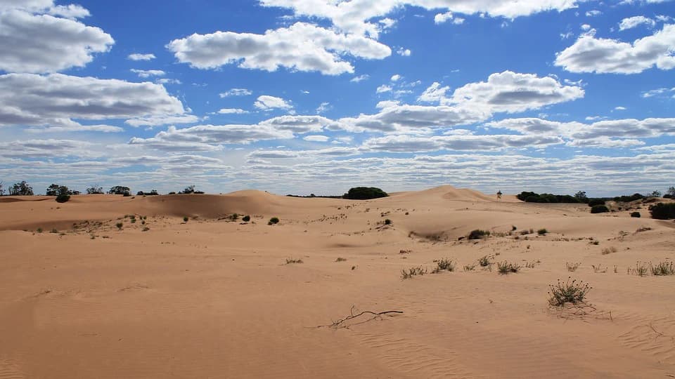 Pinnacles Desert Tour with 4WD Adventure from Perth - image 7