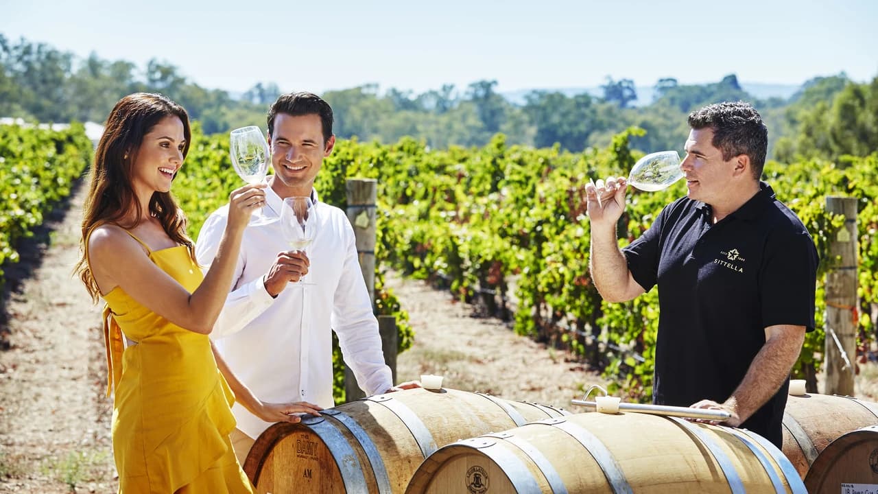 Swan Valley Half-Day Coach Tour with Wine and Chocolate Tasting - Photo 1