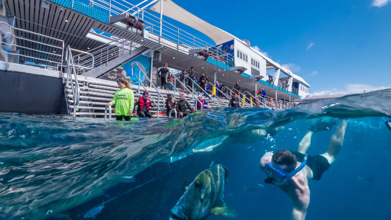 Great Barrier Reef Full-Day Pontoon Tour with Reef Magic from Cairns - Photo 1