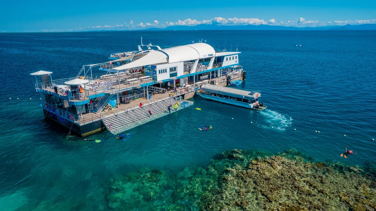 Great Barrier Reef Full-Day Pontoon Tour with Reef Magic from Cairns - Photo 2