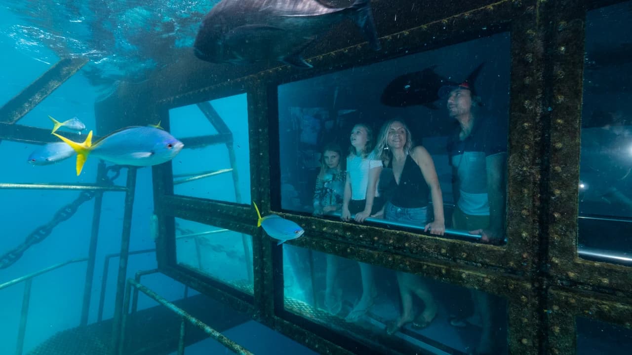 Great Barrier Reef Full-Day Pontoon Tour with Reef Magic from Cairns - Photo 4