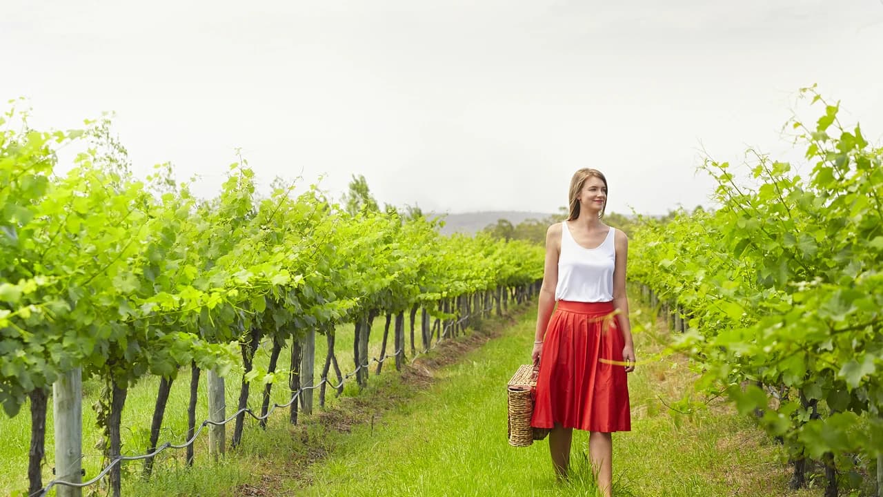 Swan Valley Half-Day Coach Tour with Wine and Chocolate Tasting - image 7