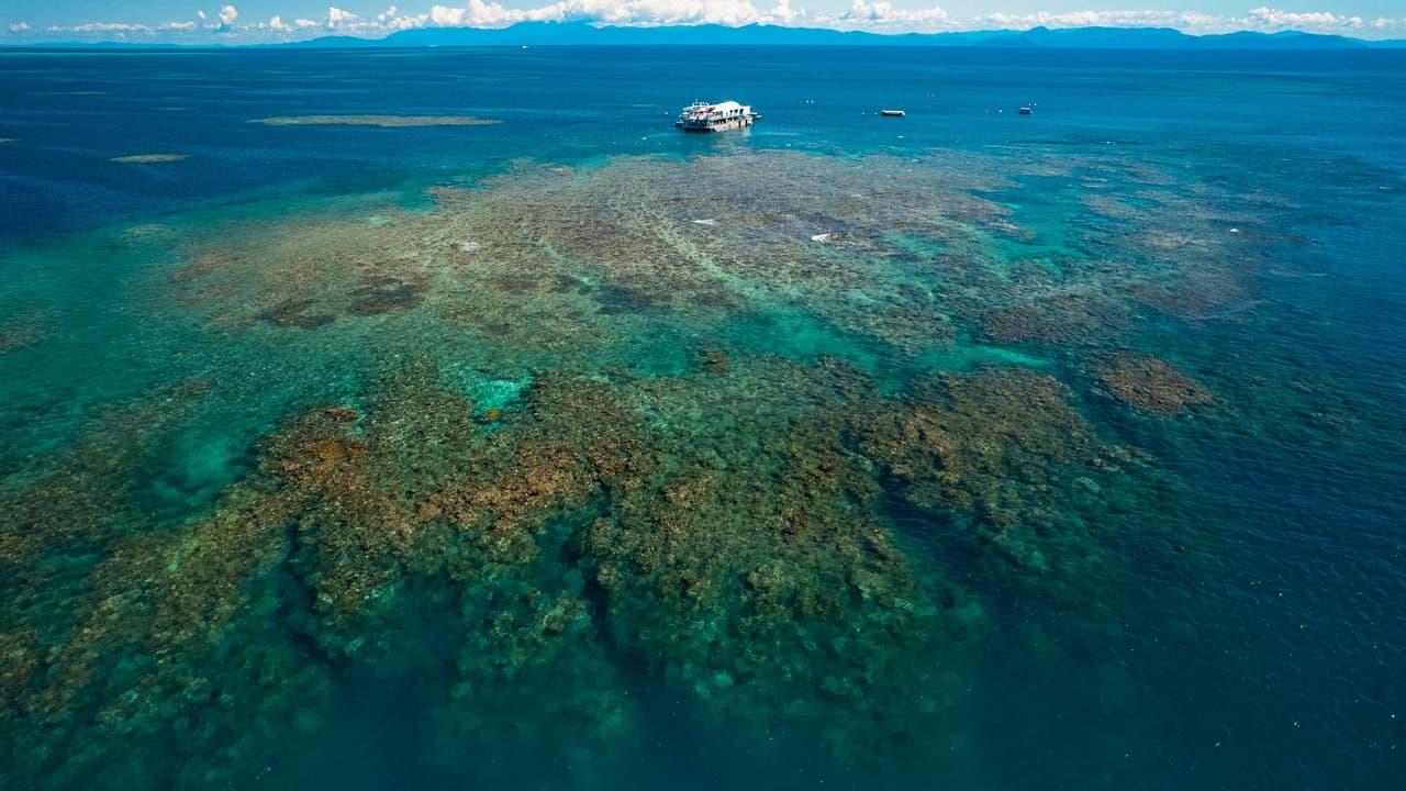 Great Barrier Reef Full-Day Pontoon Tour with Reef Magic from Cairns - image 8