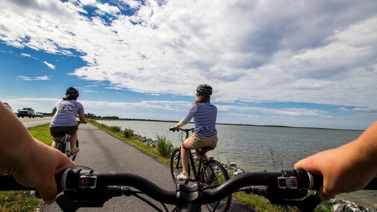 Manly Beach Cycling Tour with Sunset Cruise - Photo 1