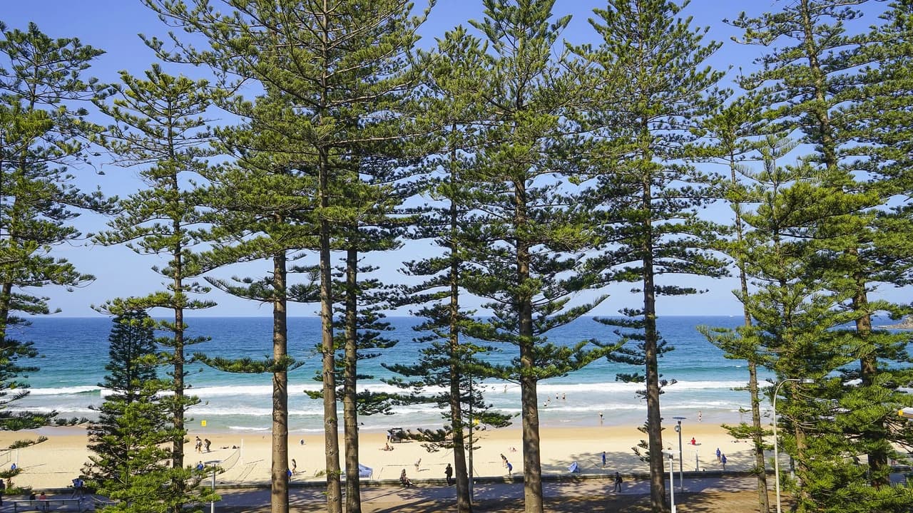 Manly Beach Cycling Tour with Sunset Cruise - Photo 5