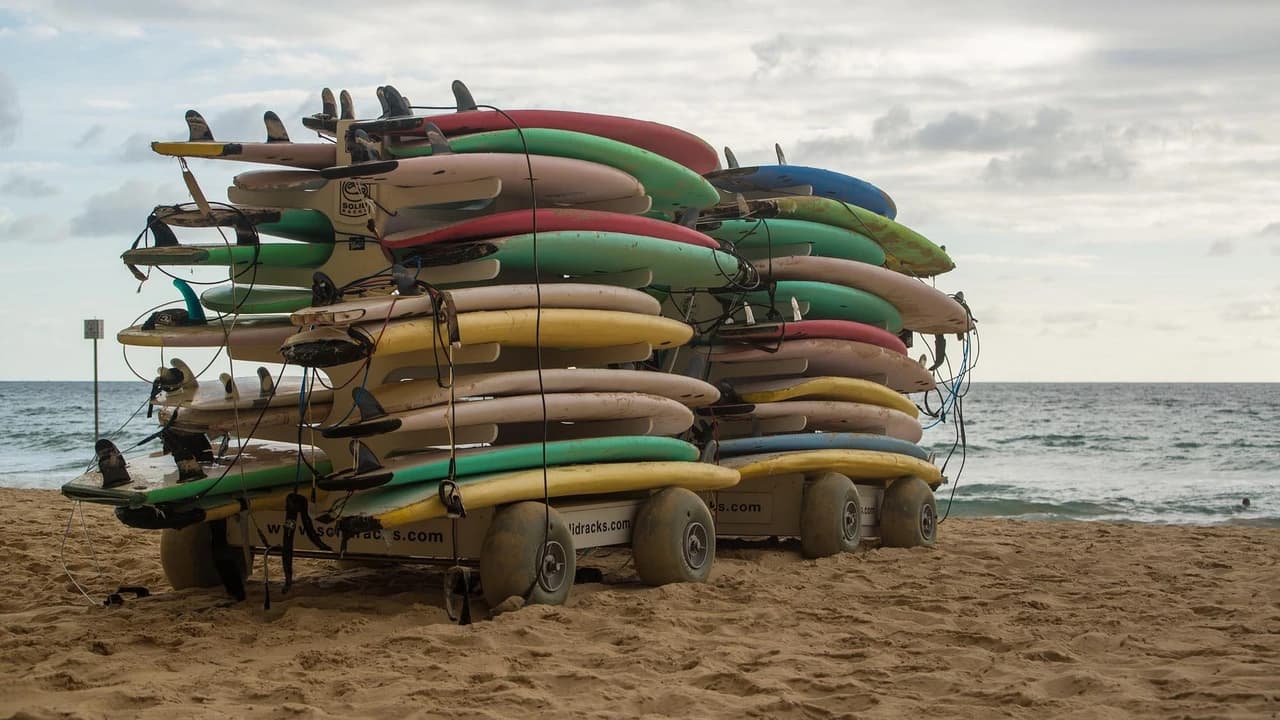 Manly Beach Cycling Tour with Sunset Cruise - image 8
