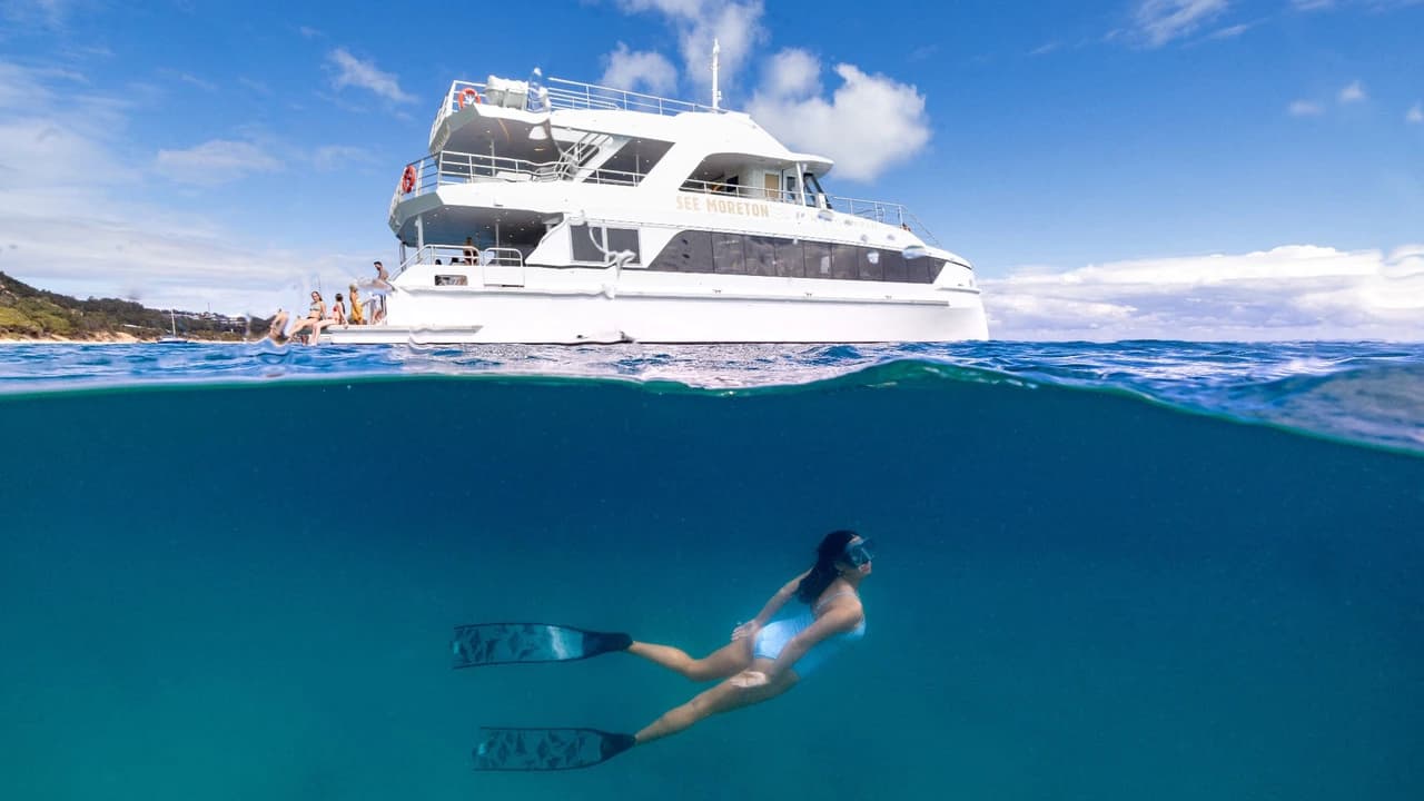 Tangalooma Wrecks & Dolphin Cruise Optional Round transfer from Brisbane City and Gold Coast - Photo 4