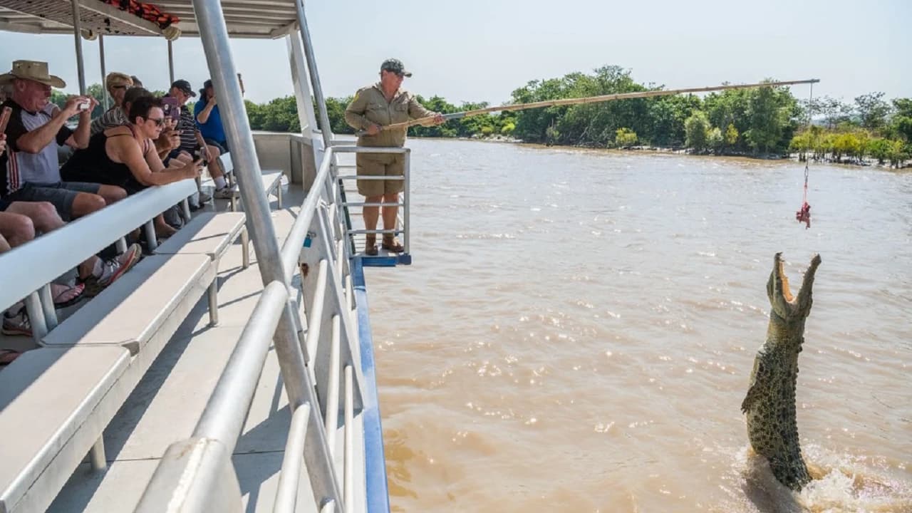 Spectacular Jumping Crocodile Cruise - image 7