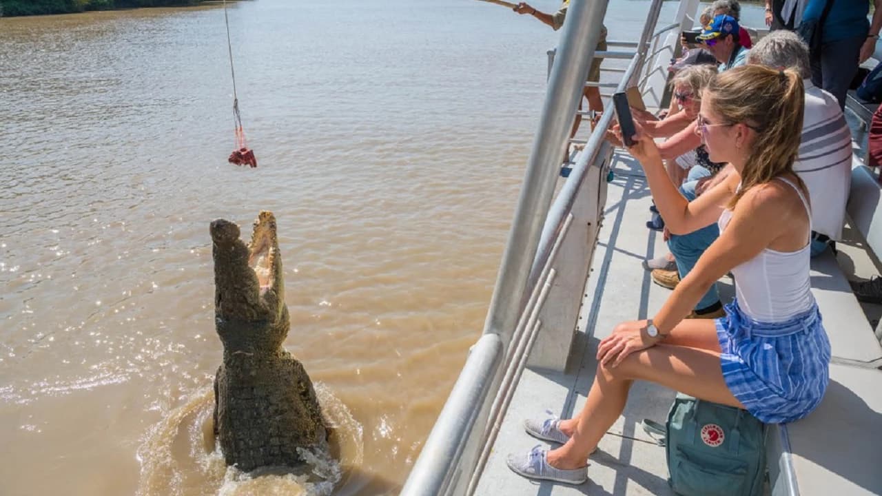 Spectacular Jumping Crocodile Cruise - image 8