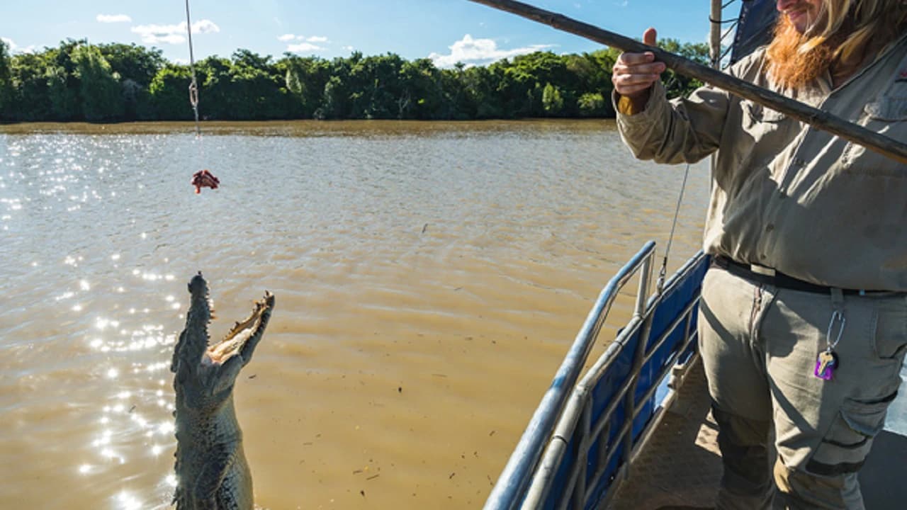 Spectacular Jumping Crocodile Cruise - Photo 3
