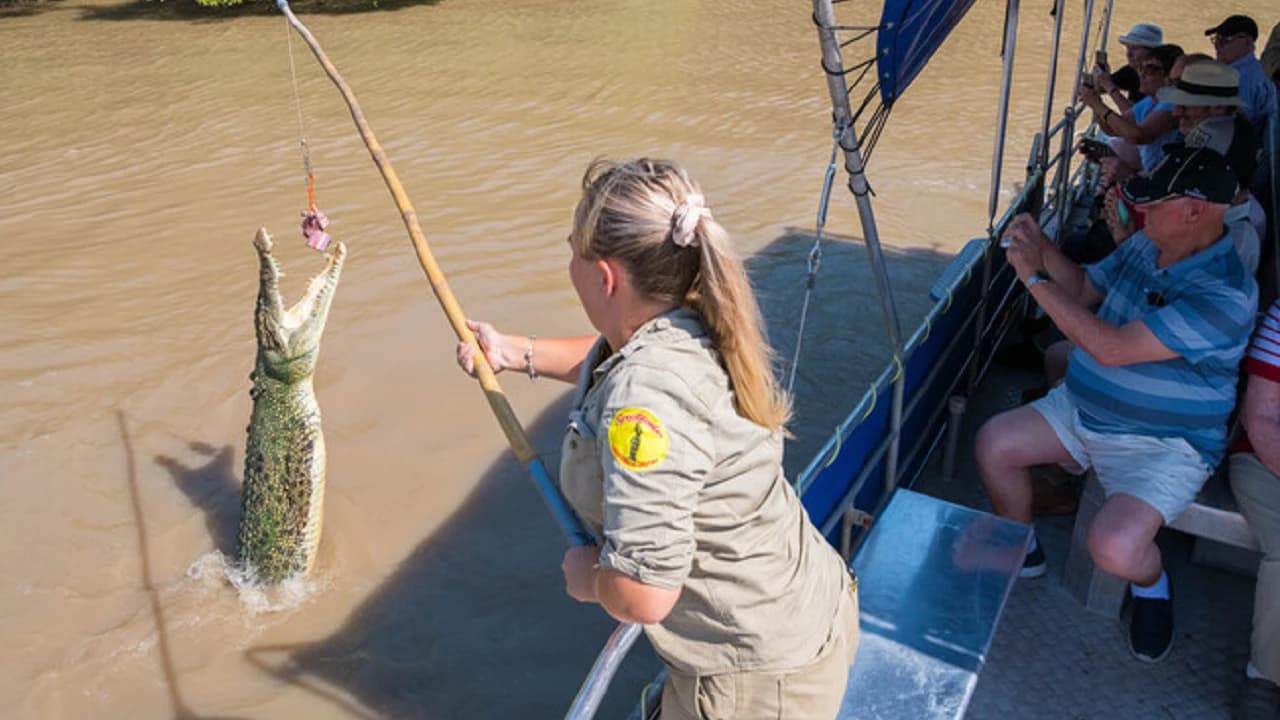 Spectacular Jumping Crocodile Cruise - Photo 4