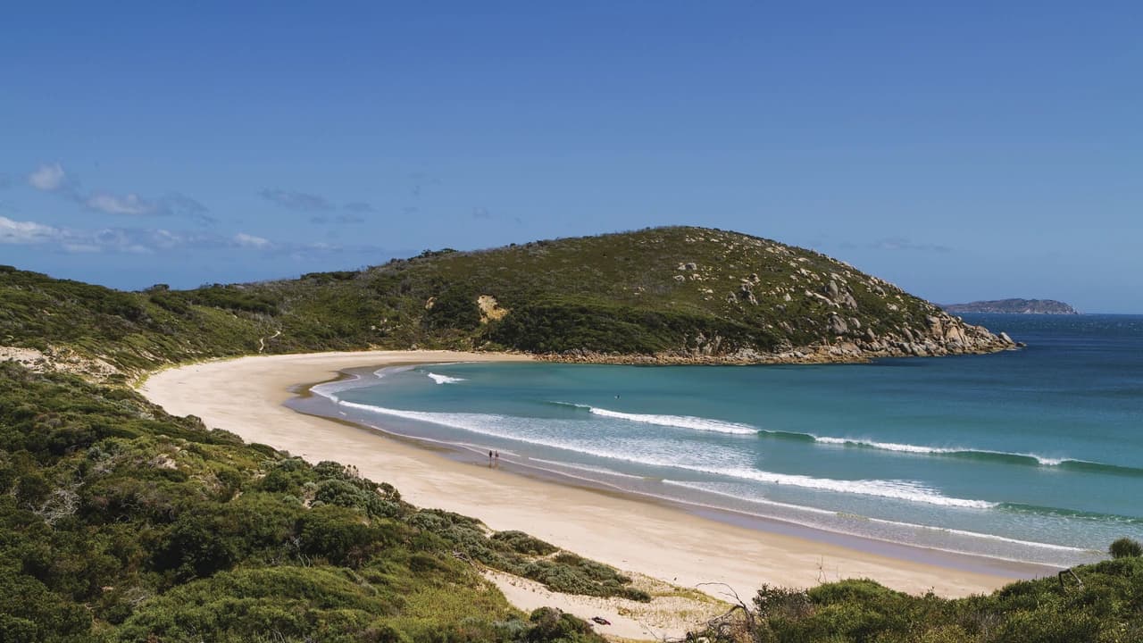 Wilsons Promontory National Park Tour from Melbourne - Photo 5