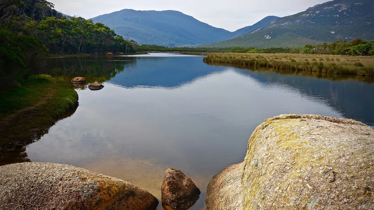 Wilsons Promontory National Park Tour from Melbourne - image 7