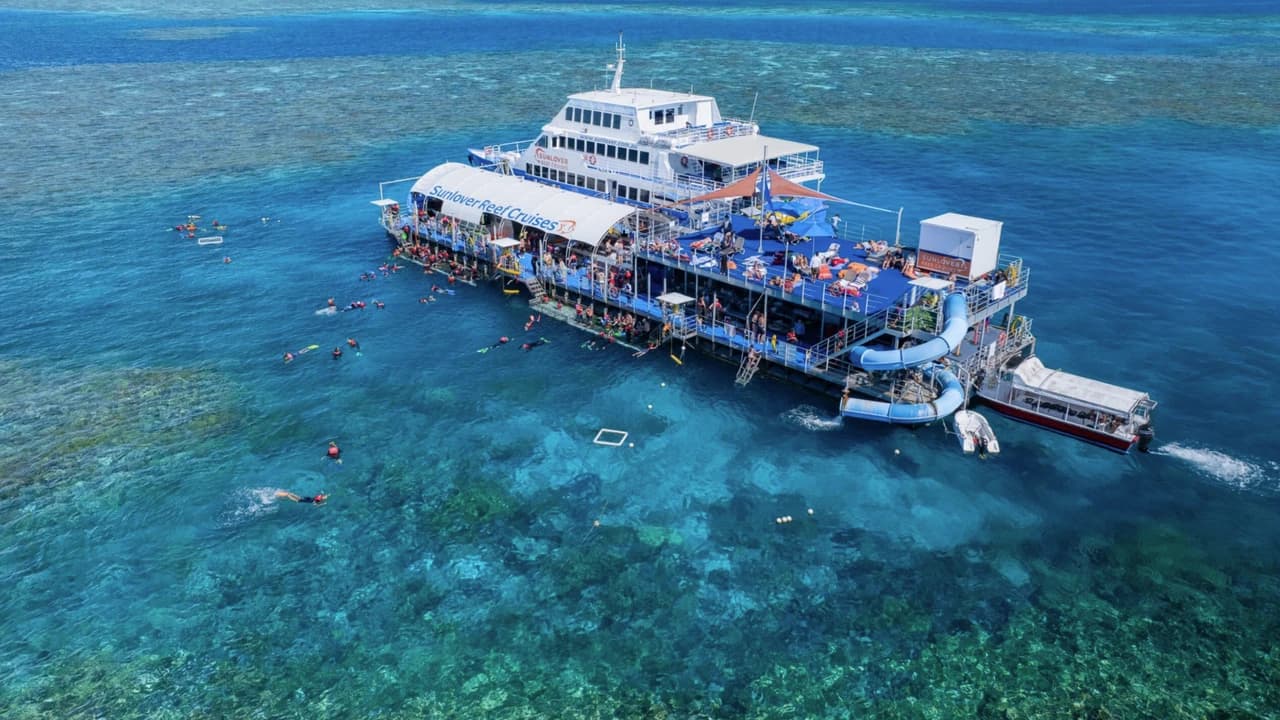 Great Barrier Reef Pontoon Full-Day Tour at Moore Reef - Photo 1